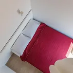 Genio 7a Palanga